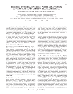 PDF - Marine Ornithology