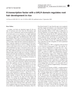 A transcription factor with a bHLH domain regulates root hair
