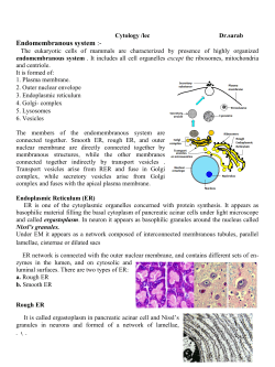Endomembranous system :-