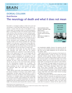 The neurology of death and what it does not mean
