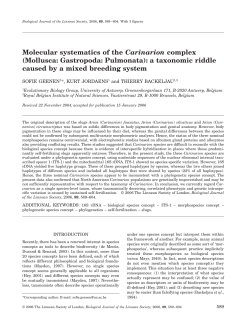 Molecular systematics of the Carinarion complex (Mollusca