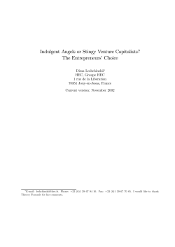 Indulgent Angels or Stingy Venture Capitalists? The Entrepreneurs