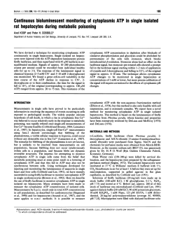 Continuous bioluminescent monitoring of cytoplasmic ATP in single
