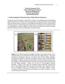 Bradeen Research Summary 2011 1 Research Summary 2011