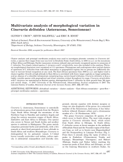 Multivariate analysis of morphological variation in Cineraria deltoidea