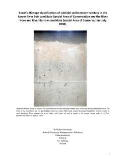 Benthic Biotope classification of subtidal sedimentary