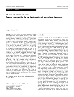 Oxygen transport in the rat brain cortex at normobaric hyperoxia