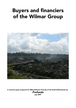 Buyers and financiers of the Wilmar Group