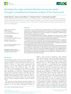Revisiting the origin and diversification of vascular plants through a