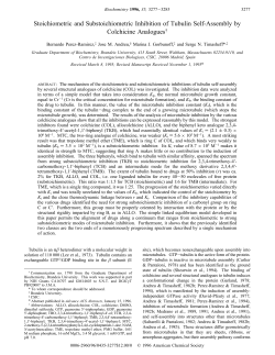 Stoichiometric and Substoichiometric Inhibition of Tubulin Self