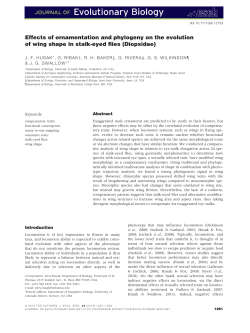 Effects of ornamentation and phylogeny on the evolution of wing