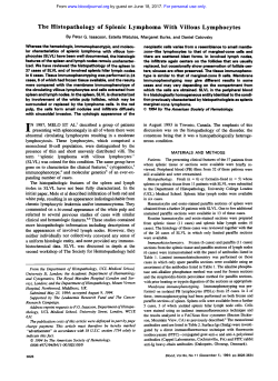 The Histopathology of Splenic Lymphoma With