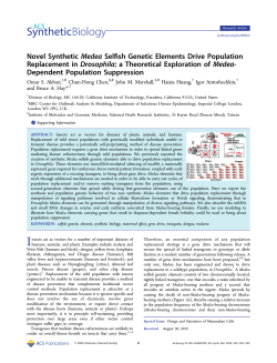 Novel Synthetic Medea Selfish Genetic Elements