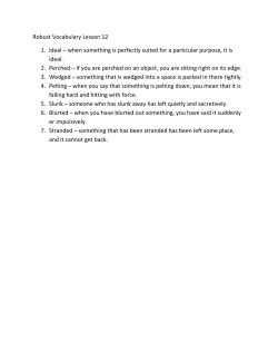 Robust Vocabulary Lesson 12 1. Ideal &ndash; when something is perfectly