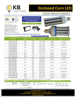 Enclosed Corn LED