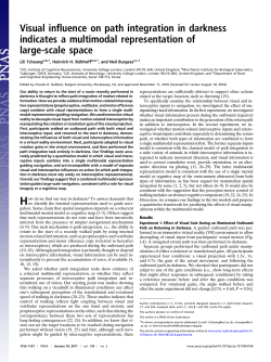 Here - Institute of Cognitive Neuroscience