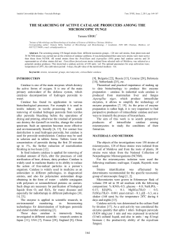 the searching of active catalase producers among the