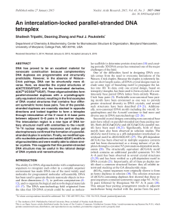 An intercalation-locked parallel-stranded DNA