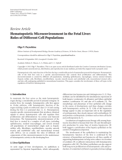 Hematopoietic Microenvironment in the Fetal Liver: Roles of
