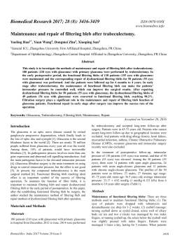 Maintenance and repair of filtering bleb after