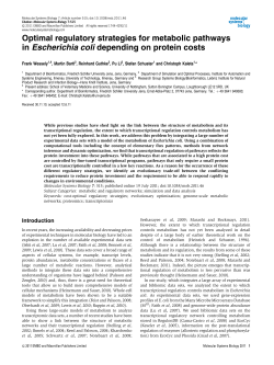 Optimal regulatory strategies for metabolic pathways in Escherichia