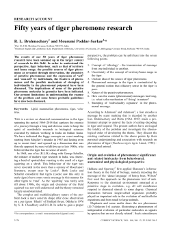 Fifty years of tiger pheromone research