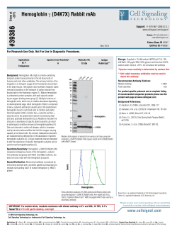 39386 - Cell Signaling Technology