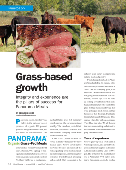 Grass-based growth