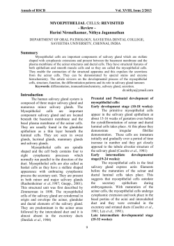 MYOEPITHELIAL CELLS: REVISITED