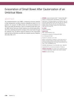 Evisceration of Small Bowel After Cauterization of an