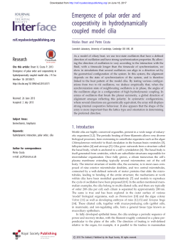 Emergence of polar order and cooperativity in hydrodynamically