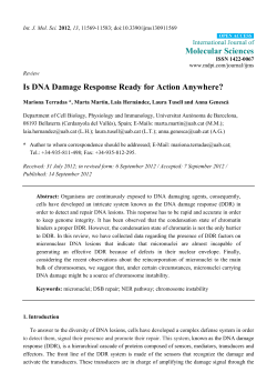Full-Text PDF
