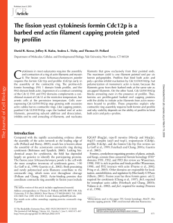 The fission yeast cytokinesis formin Cdc12p is a barbed end actin