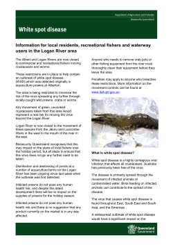 Information for local residents, recreational fishers and waterway