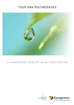 DNA Polymerases Brochure