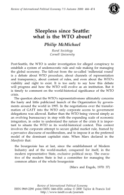 Sleepless since Seattle: what is the WTO about?