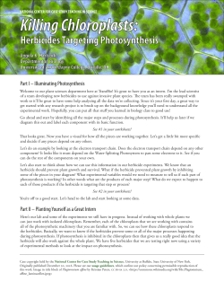Killing Chloroplasts - National Center for Case Study Teaching in