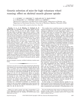 Genetic selection of mice for high voluntary wheel running: effect on