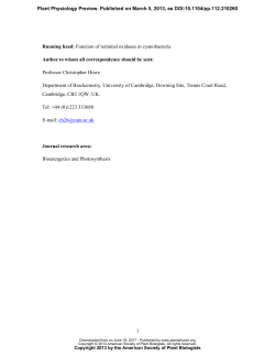 Thylakoid terminal oxidases are essential for the cyanobacterium