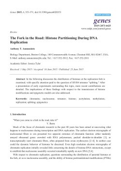 The Fork in the Road: Histone Partitioning During DNA Replication