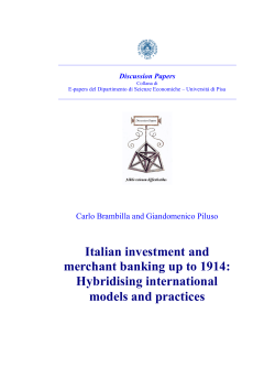 Italian investment and merchant banking up to 1914: Hybridising