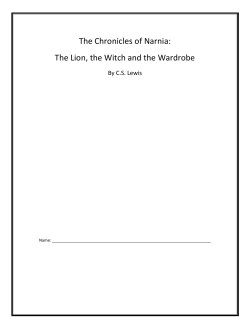 Novel Packet