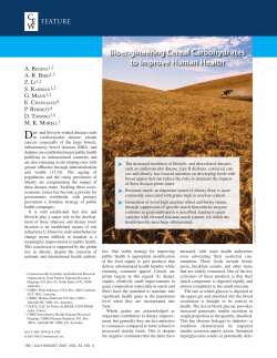 Bioengineering Cereal Carbohydrates to Improve Human Health