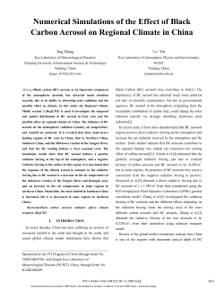 Numerical Simulations of the Effect of Black Carbon