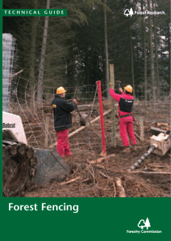 Forest Fencing - Forestry Commission