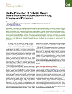 On the perception of probable things: neural