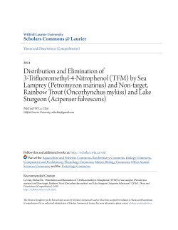 Distribution and Elimination of 3-Trifluoromethyl-4