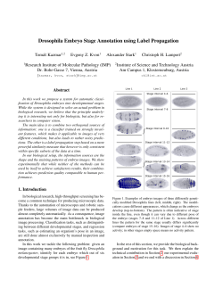 Drosophila Embryo Stage Annotation using Label