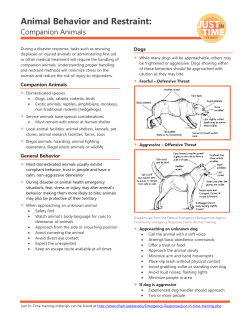 Animal Behavior and Restraint: Companion Animal