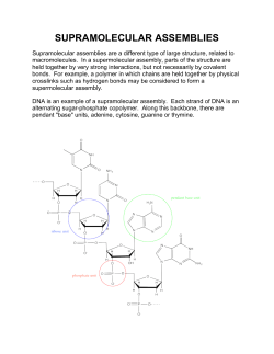 SUPRAMOLECULAR ASSEMBLIES